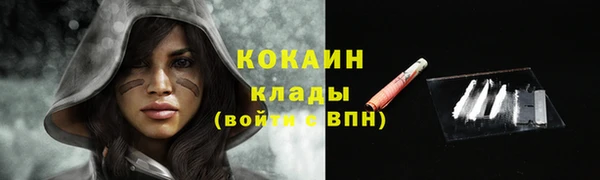 соль ск Алзамай