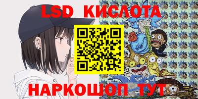 шишки Нарткала
