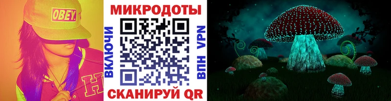 Псилоцибиновые грибы GOLDEN TEACHER  mega онион  Гурьевск 