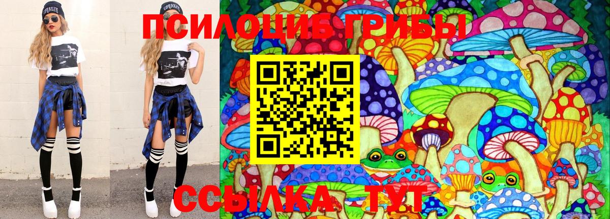 Галлюциногенные грибы Cubensis  Вход с VPN  Гурьевск  Псилоцибиновые грибы мухоморы 