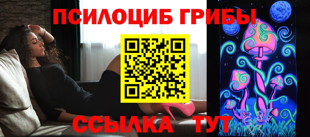 Галлюциногенные грибы GOLDEN TEACHER Гурьевск